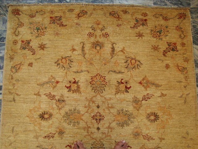 GOLDEN CHOBI VEGE DYED ZEIGLER HAND KNOTTED RUG 5.8x4.8  